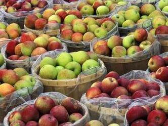 jabuke za sagorijevanje masti